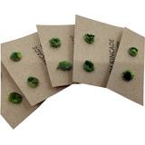 Embroidered Moss Stud Earrings