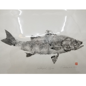 Rachel Reeve Art: Striped Bass Print