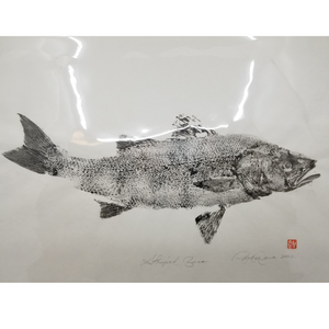 Striped Bass Print