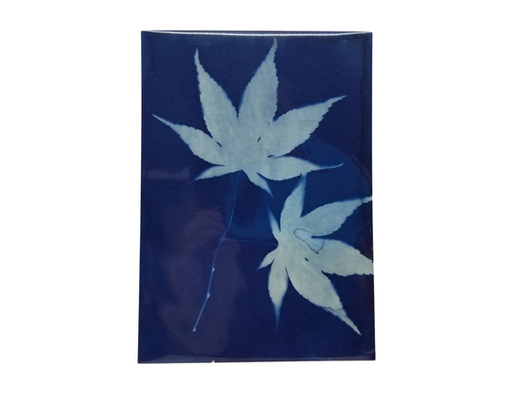 Rachel Reeve Art: Botanical Cyan Prints
