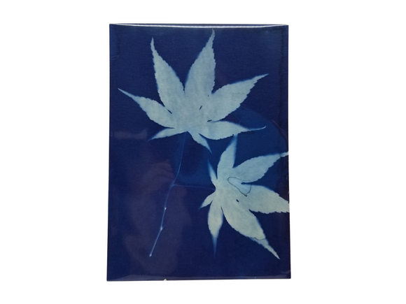 Botanical Cyan Prints