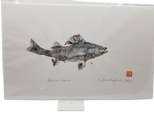 Yellow Perch Print