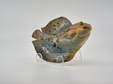 Flatfish Sculpture - Designer Craft Shop
