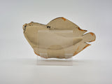 Flatfish Sculpture - Designer Craft Shop