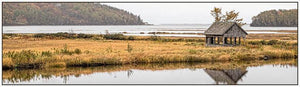 "Autumn Isolation" Photograph - Designer Craft Shop
