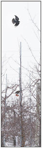 Orchard Interactions Photo - Designer Craft Shop